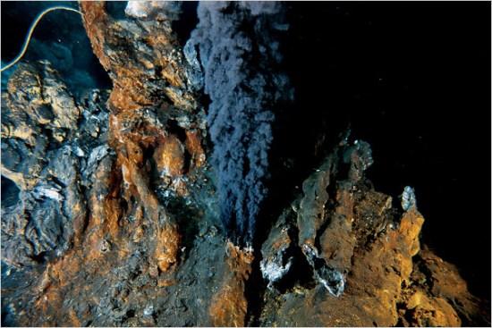 美国科学家深海找寻现存最古老生物