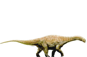 ˡ