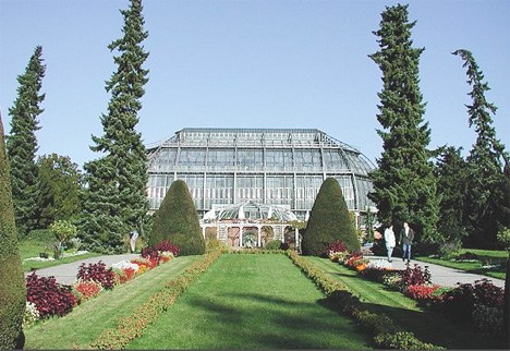 德国柏林植物园 德国柏林植物园