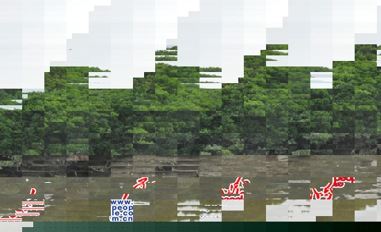 λڱĺ֣ԶԶȥˮһֻˮ