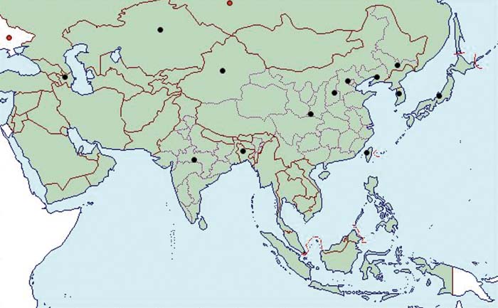 碰不得的绝命毒师刺萼龙葵 - 文章 - 环境生态