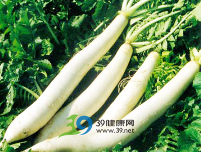 教你几招养生萝卜菜(图)
