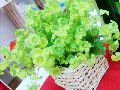 Ů30ƽƾ ˼Һլ(ͼ)