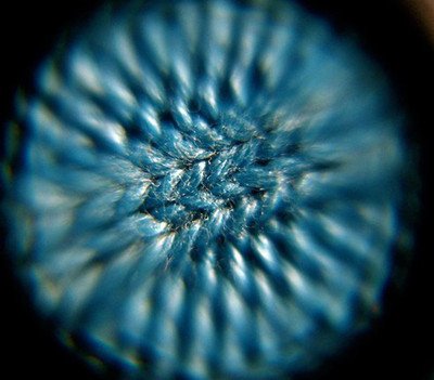 洗衣水含大量纤维碎屑 可能成海洋新污染源
