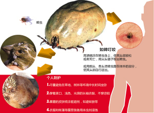 浙江在线05月10日讯