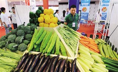 餐桌上的多彩生活