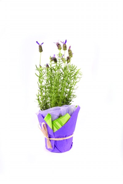 쵽ȻļڣܺЩɰĲݱǵеⶼǽŮˣҪnature beauty
