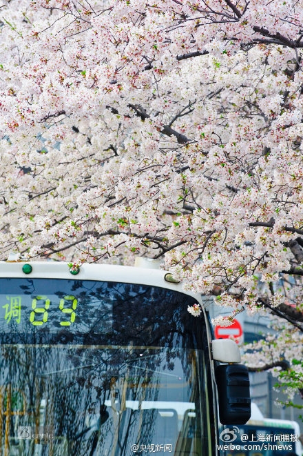 ˵ϺƯĹվĺ