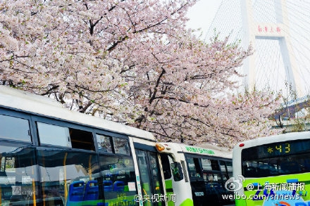 ˵ϺƯĹվĺ