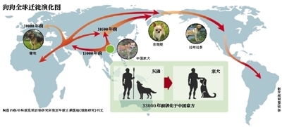 汪星人祖先都来自中国南方：随丝绸之路迁徙全球