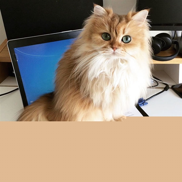 ϾˣȻ
