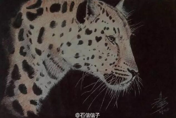 郑州90后大学生圆珠笔作画被赞惊艳 网友:给跪了