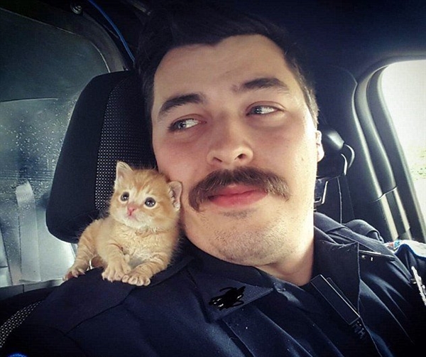 警察大叔搭救小奶猫带其巡逻：画面萌翻了