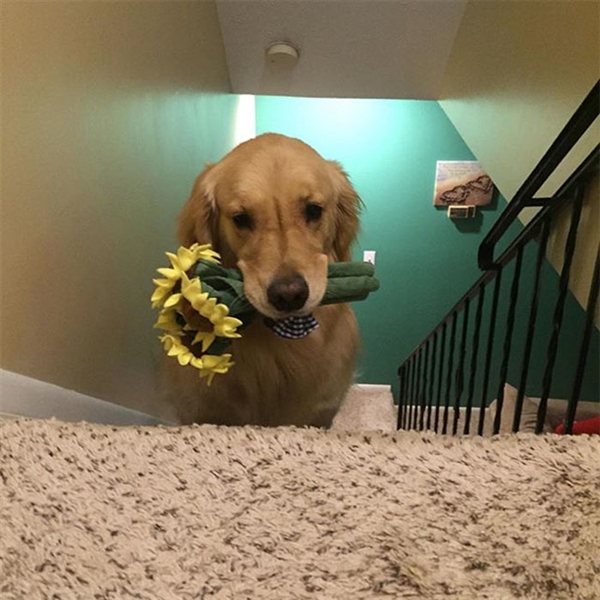 ʷ鹷ÿһͬ˯