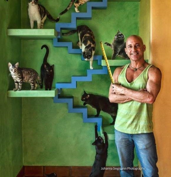 型男猫奴20年收养22只流浪猫：家中画风萌翻