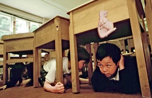 地震时到底该不该躲在桌下/床下？终于懂了