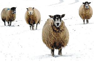 2007̵㣺2007ʮ