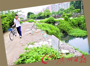 附近学生走过大棉涌都要捂鼻子。