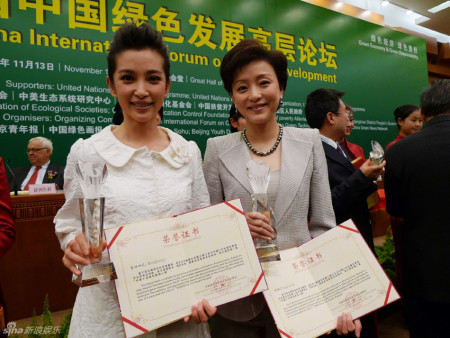 李冰冰和杨澜双双获奖 李冰冰和杨澜双双获奖
