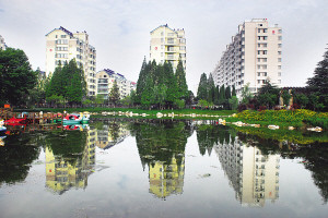 江苏金湖获联合国最佳生态和谐环境美丽城市
