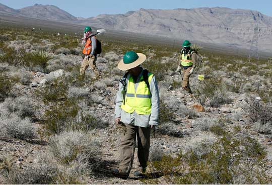 图片说明： 生物学家正在检查沙漠龟栖息地的植被。加州许多计划用于太阳能开发的地区位于脆弱景观区域。（自《纽约时报》）