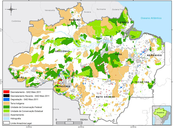 ѷɭ20115µĿmongabay.comվ