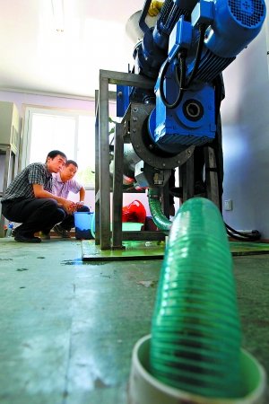 驴屎蛋首次“试车”绿房子 下月起正式运行