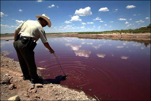 在费舍湖,死亡生物产生的细菌把余下的湖水都染红了。