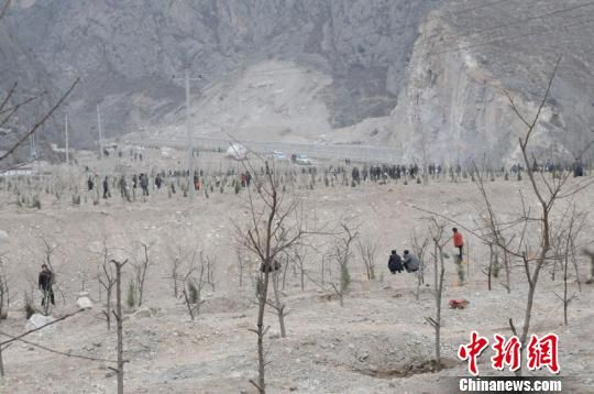 甘肃舟曲重建突出生态建设春季掀起义务植树热