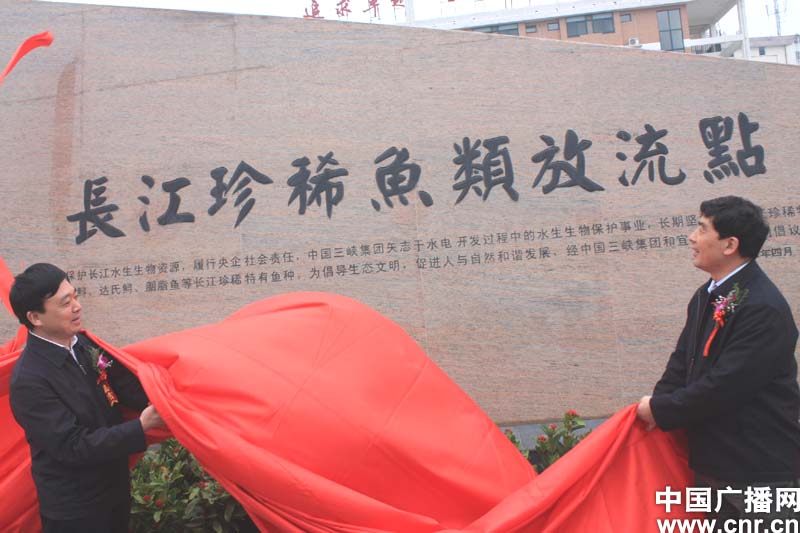 放流现场