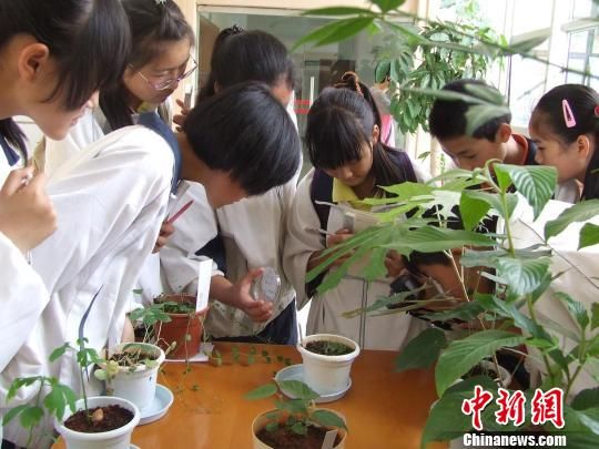 中科院昆明植物所为公众烹饪“科普盛宴”