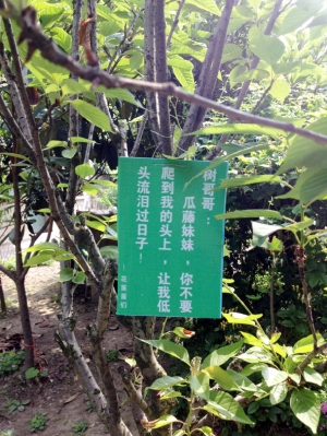 时报讯通讯员 苗文梅
