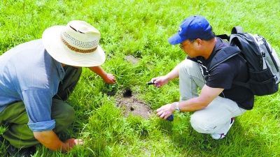 武大博士甘肃大草原“生态灭鼠”