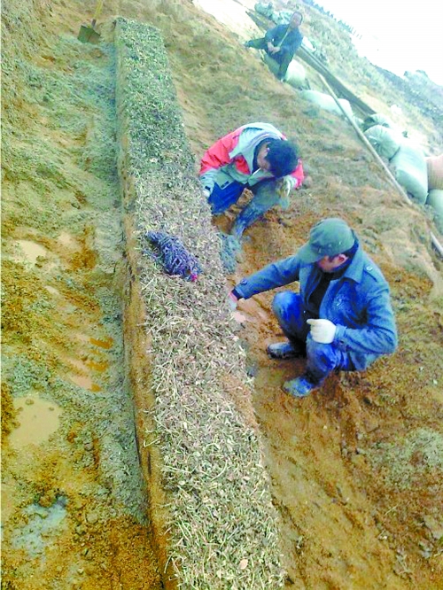 发掘现场