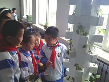小学生在实验室观察植物。