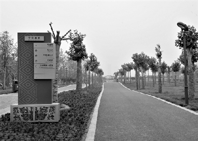 中原西路廊道景观已形成