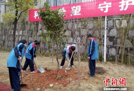 长郡梅溪湖中学的学生正在植树。 邓霞 摄