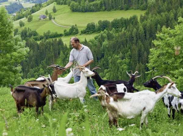 Growing appetite. Demand for organic products is soaring in Europe.