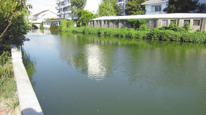 苏州,水城,生态
