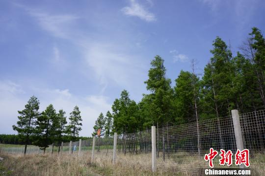 中国北方绿色生态屏障的“断点”突围