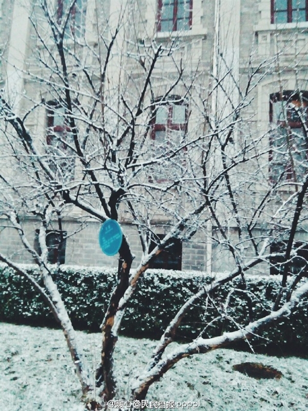 ѩԼ ѿɹͼģʽ