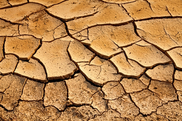 ѧҷ棺ˮʮڿݽ