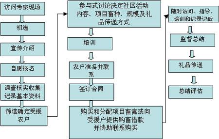 2006调研中国四川大学团队调研报告节选