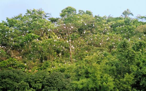 福特汽车环保奖