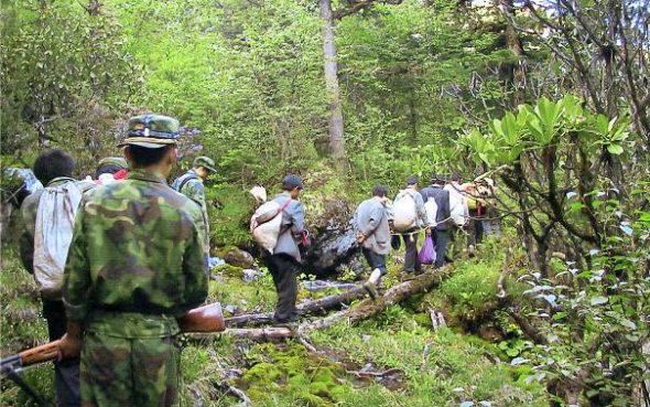 福特汽车环保奖