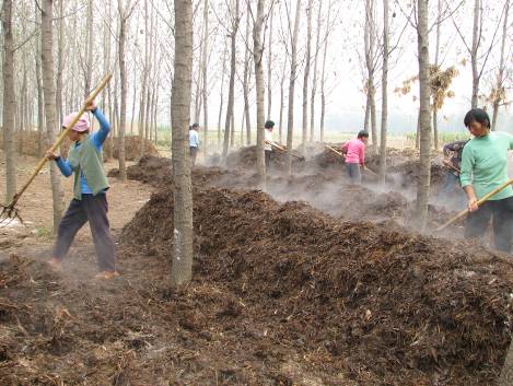 福特汽车环保奖