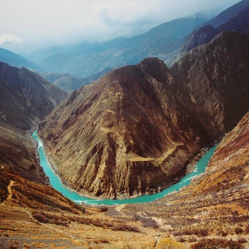 大自然保护协会在中国的生物多样性保护