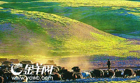 编 号: 2428945
摄影作者:
文件名:yzblll8a30.jpg
文件大小:K
高 X 宽:268 X 450
说明:yzblll8a30.jpg