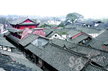 主题报道|五一出行5种姿态