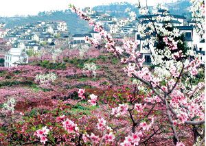 行游| 五座城市 五味春节